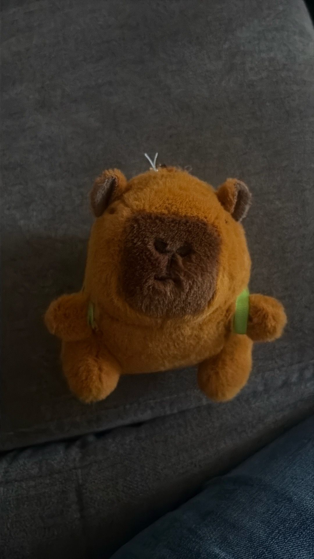 Capybara keychain