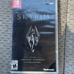 Skyrim For Switch