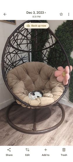 Brown Egg Chair
