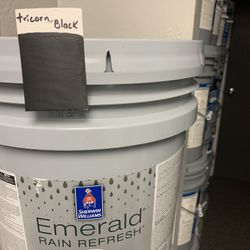 Black Paints Acrilica 