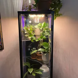 🌿 Custom IKEA Rudsta Greenhouse Cabinet – Ready to go!