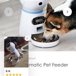 Robot Automatic Pet Feeder 