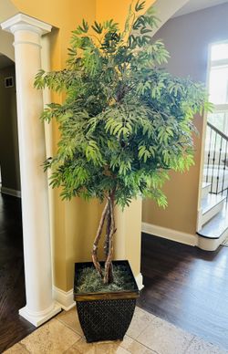 $40 Beautiful 6 Foot Decorative Tree!
