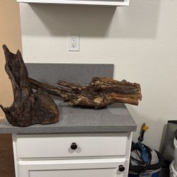 Reptile Bird Perch