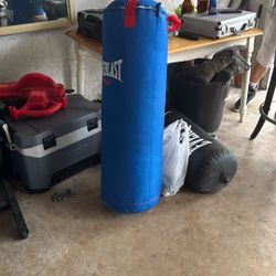 Punching Bag Blue 