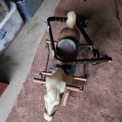 Vintage Bouncing Horse 