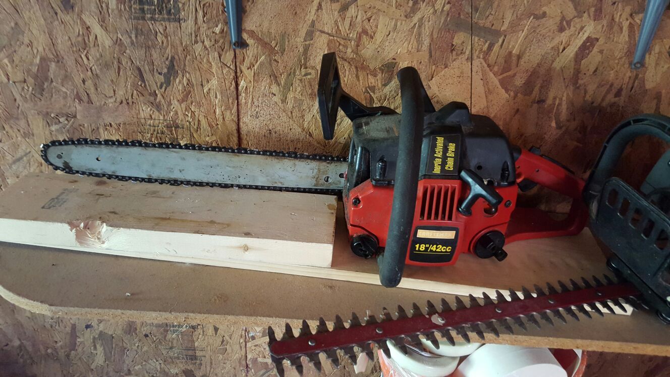 Chainsaw and trimer