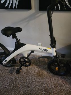 Electric Bike