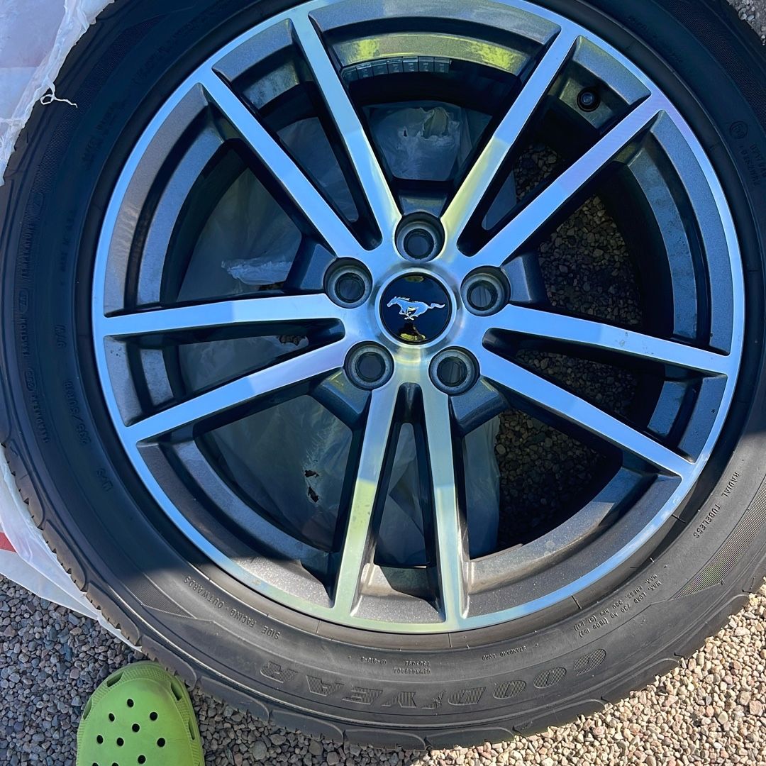 Image #1