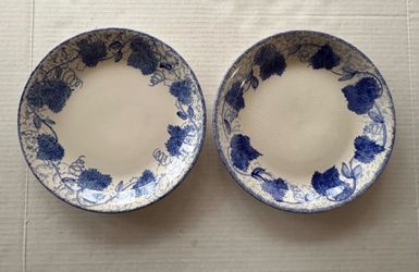 POOLE POTTERY Hand Painted Blue Leaf Dinner Plates Made in England- Set of 2