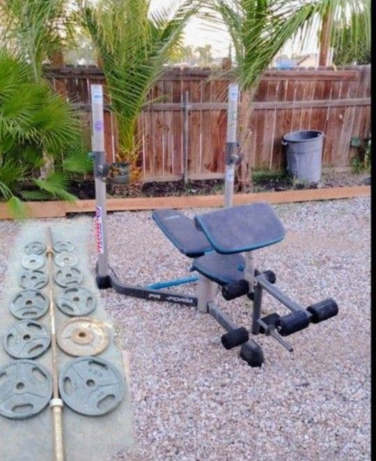 245lbs Olympic Weights+ Bench+ Bar