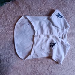 Pet Dodger Jersey 