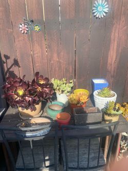 Take everything on table for only $20