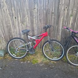 Magna Editor Series Bike