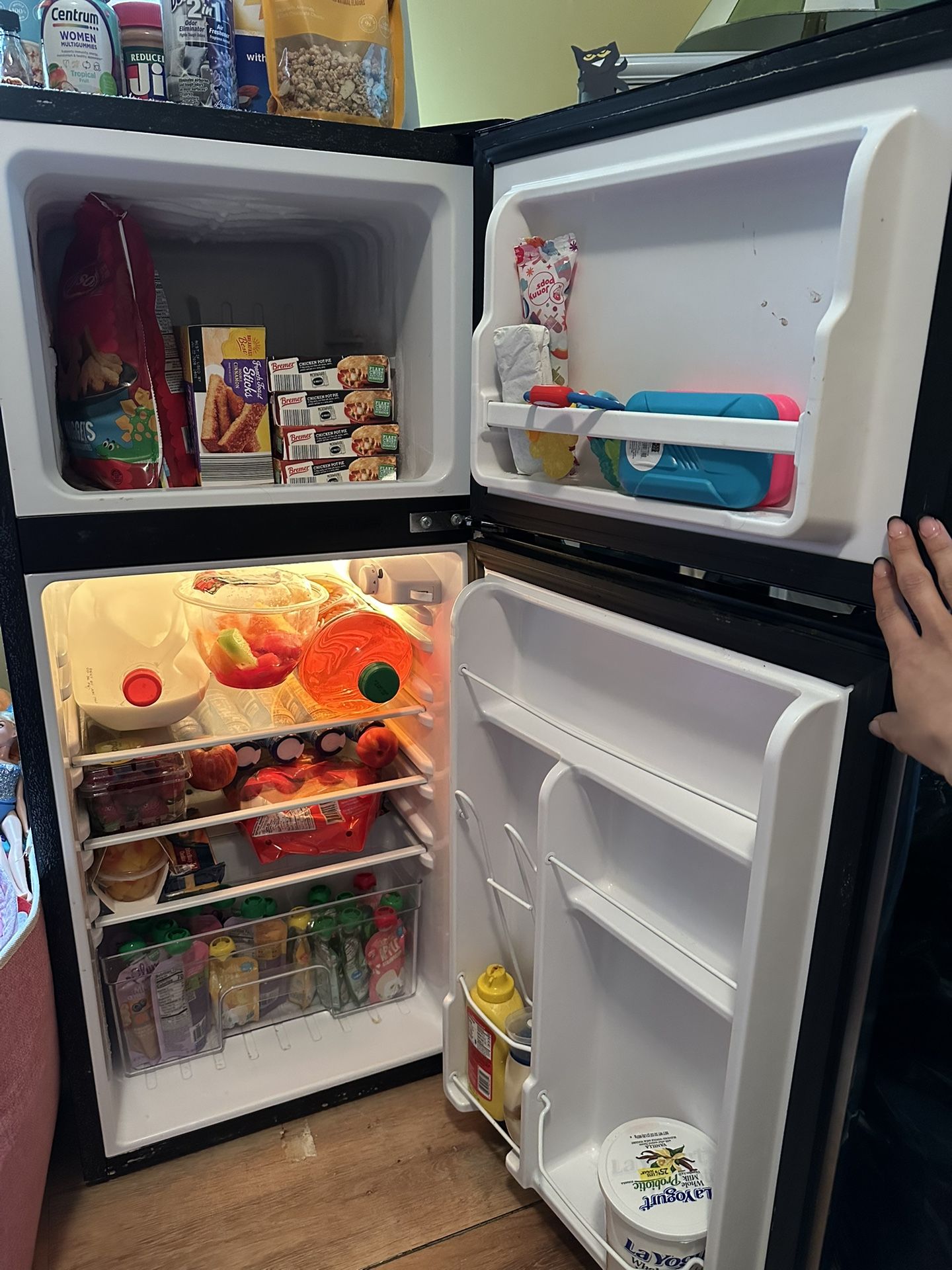 Mini Fridge