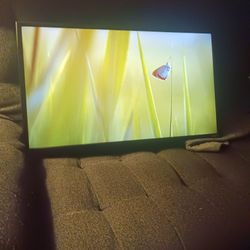 Vizio 32"  