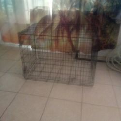 Kennel Big Dog $20.Panama Lane And Wible 