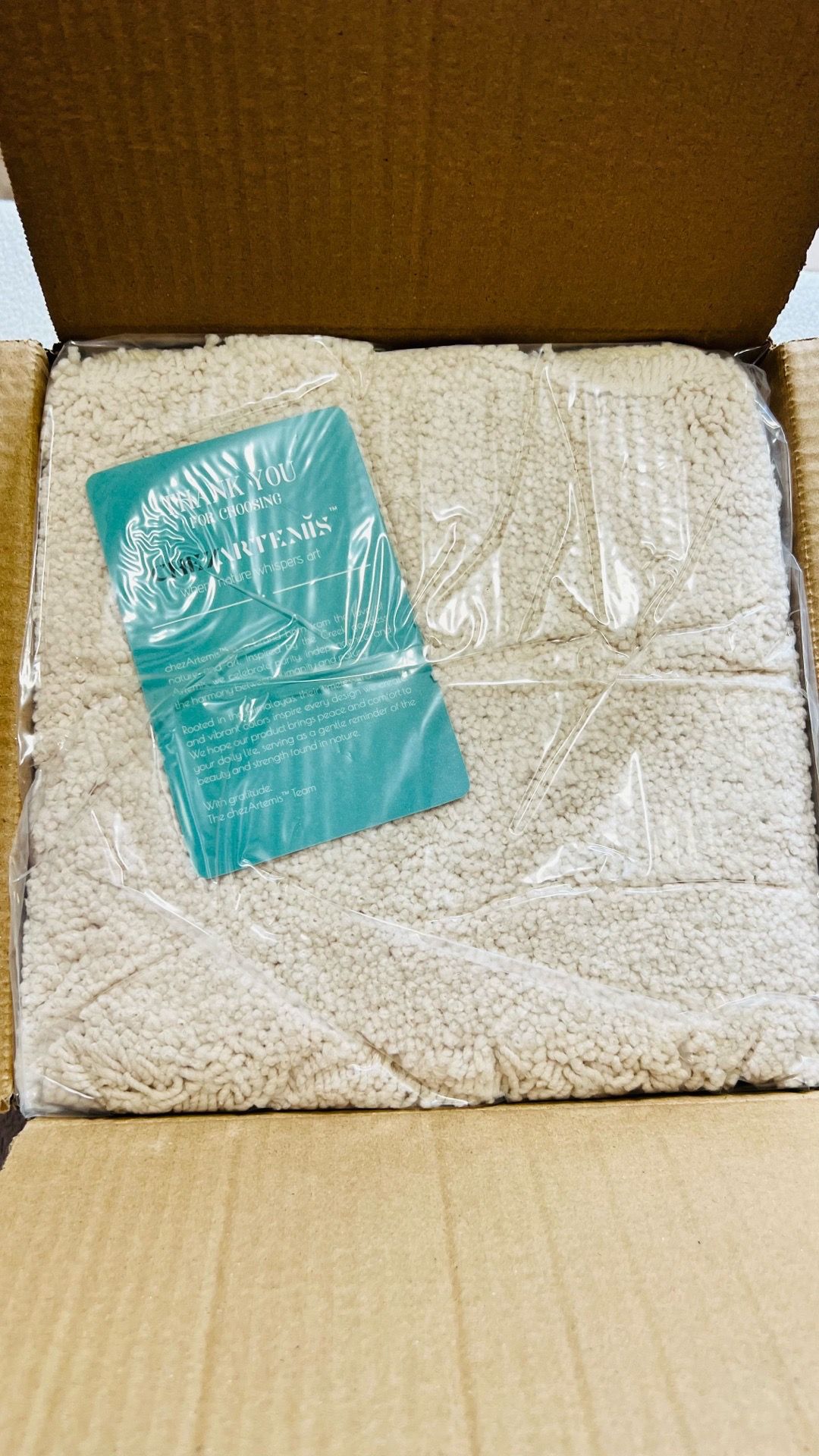 Bathroom rug