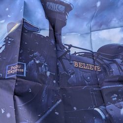 Photography lighting, umbrellas, & backdrops