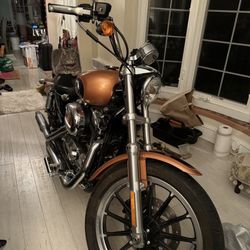 2009 Harley Davidson Sportster 