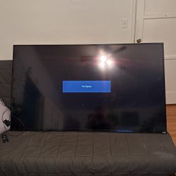 60 Inch Vizio For The Low!