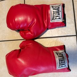 Everlast Boxing Gloves
