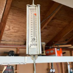 Hanson Hanging Scale 