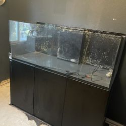 150 Gallon Aquarium 