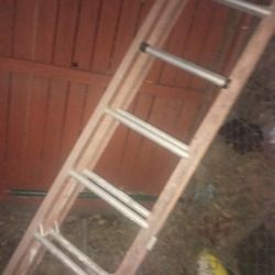 Construction Ladder 