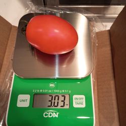 Professional Grade Thermometers