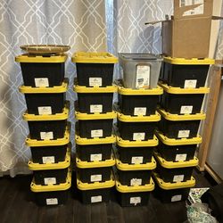 Veggies Seeds For Mircogreen Or Plant Garden 