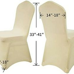 Wedding, Banquet, and Party

