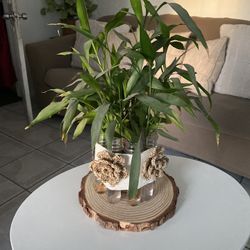 Gift For All Occasions