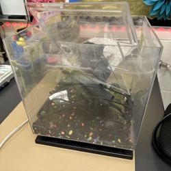 Tetra Whisper Tank 3 gallon