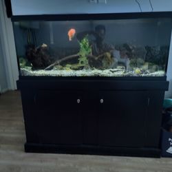 75 gl Aquarium + Accessories 