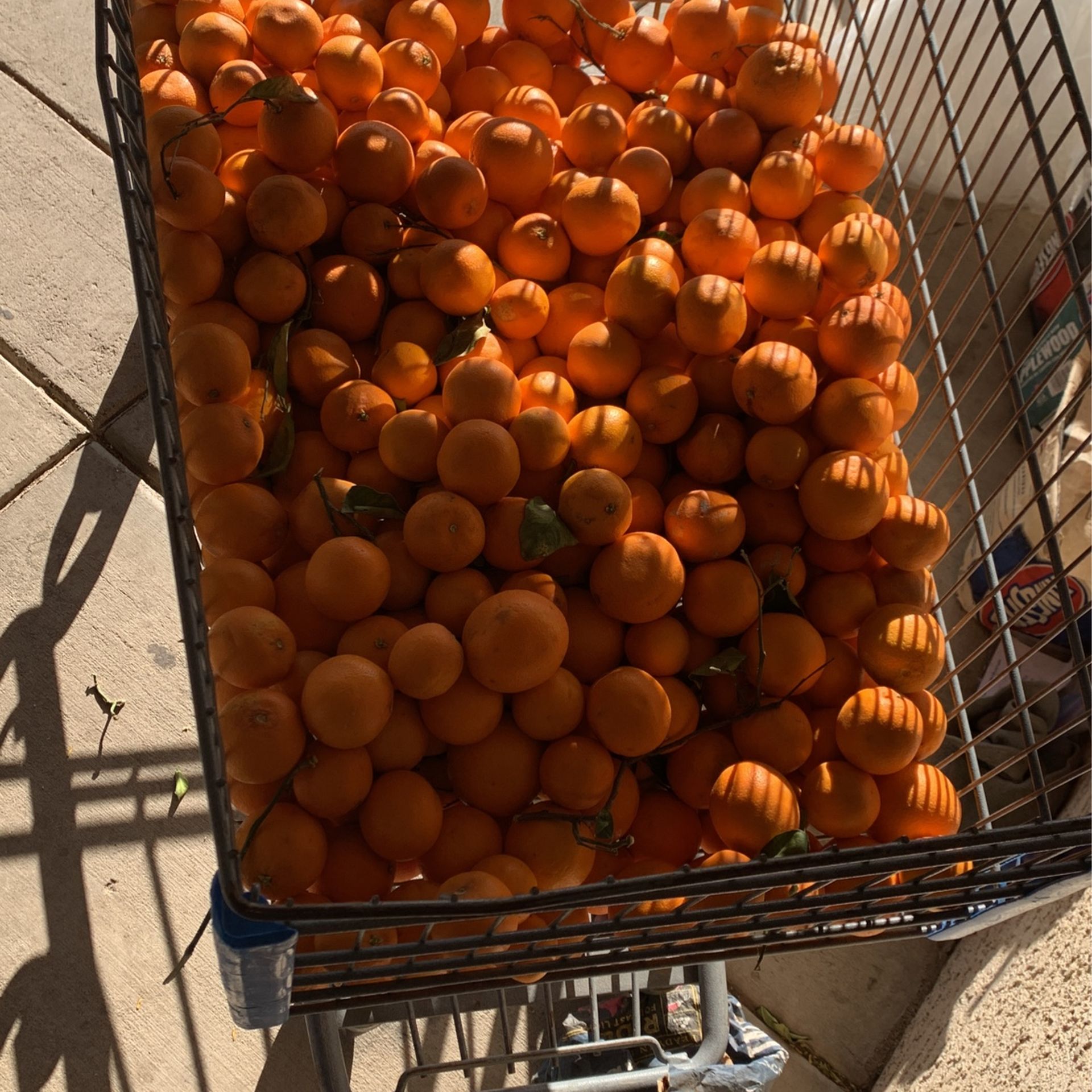 Oranges for Sale in Phoenix, AZ OfferUp