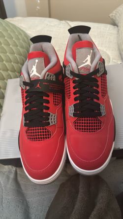 Air Jordan 4 toro bravos