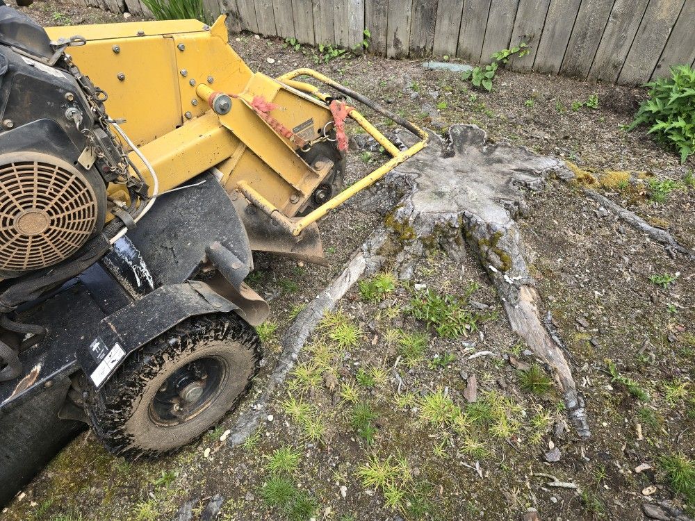 Stump Removal Made Easy