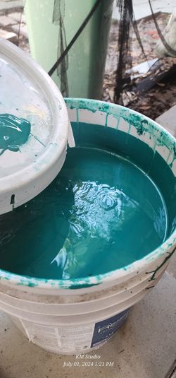 Paint 5 Gallon Bucket 85% Full