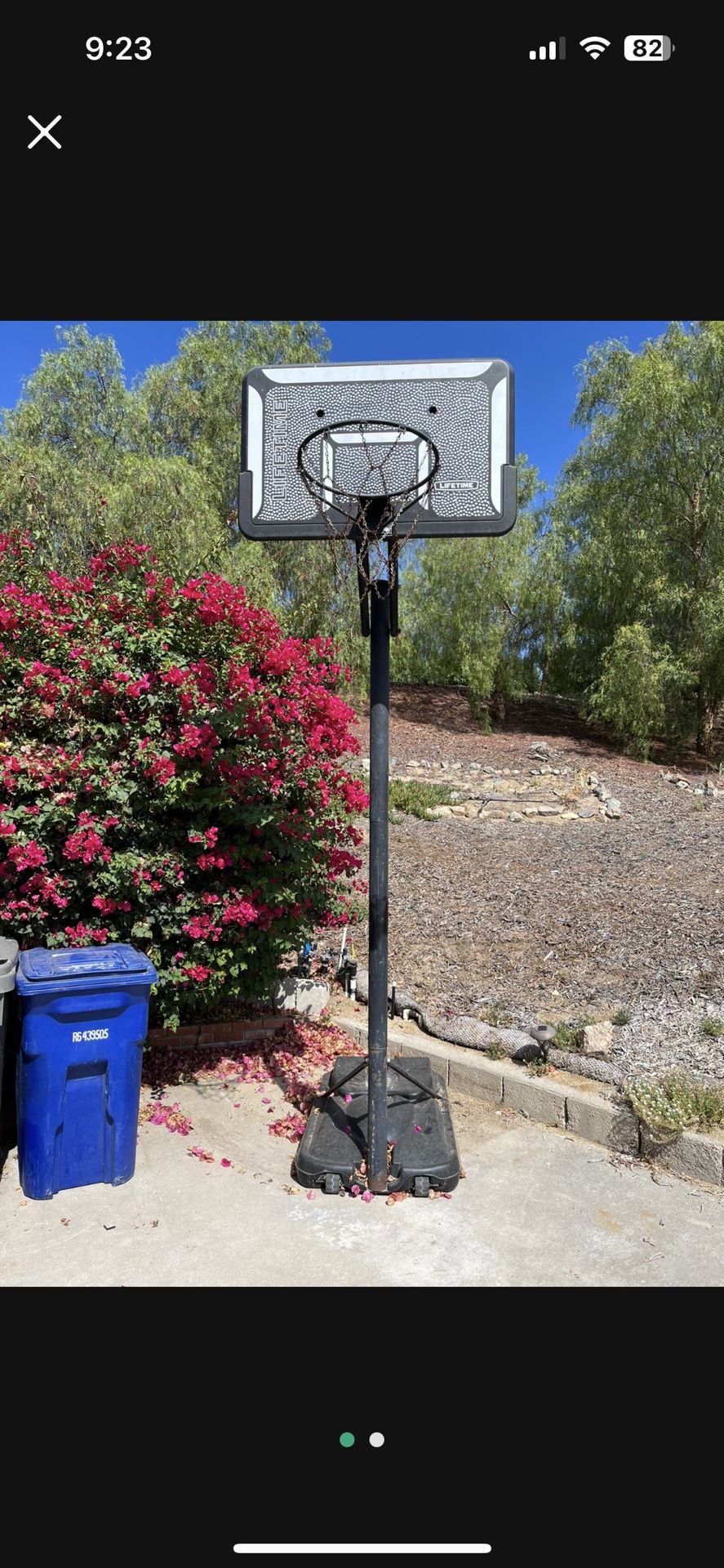 Lifetime Basketball Hoop 