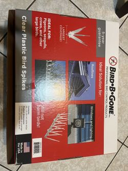 Clear Plastic Bird Spikes (8) - Pest Control