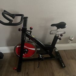 Sunny Cycling Exercise Bike