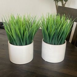 Set Of Grass Plants Decor