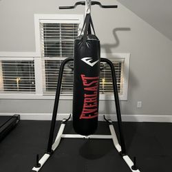 Century Stand With Everlast Punching Bag