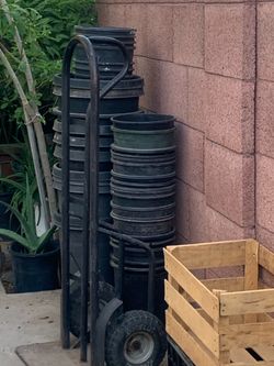 Many Different Garden Patio Planters Plants Potts buckets