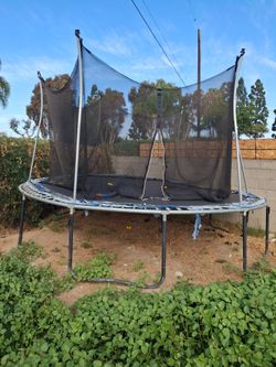 Free trampoline.