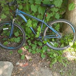 Schwinn Street Bike