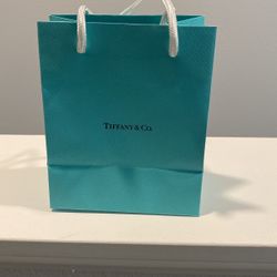 Small Shopping Bag 