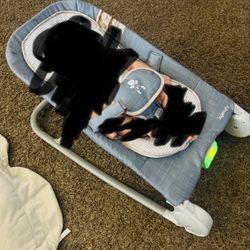Ingenuity 2 In 1 Bouncer 