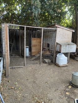 Large Chicken Coup